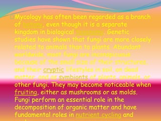 Mycology has often been regarded as a branch
of botany, even though it is a separate
kingdom in biological taxonomy. Genetic
studies have shown that fungi are more closely
related to animals than to plants. Abundant
worldwide, most fungi are inconspicuous
because of the small size of their structures,
and their cryptic lifestyles in soil, on dead
matter, and as symbionts of plants, animals, or
other fungi. They may become noticeable when
fruiting, either as mushrooms or as molds.
Fungi perform an essential role in the
decomposition of organic matter and have
fundamental roles in nutrient cycling and
 