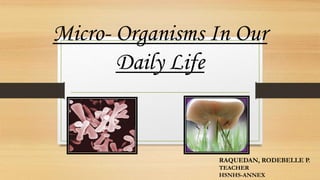 Micro- Organisms In Our
Daily Life
RAQUEDAN, RODEBELLE P.
TEACHER
HSNHS-ANNEX
 