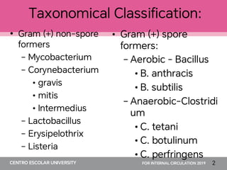 Comprehensive Overview of Bacilli: Classification, Pathogenesis, and ...