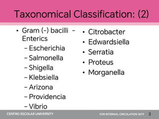 Comprehensive Overview of Bacilli: Classification, Pathogenesis, and ...