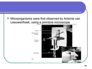 

Microorganisms were first observed by Antonie van
Leeuwenhoek, using a primitive microscope

10

 
