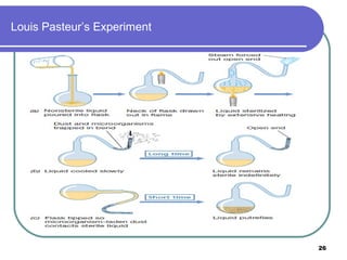 Louis Pasteur’s Experiment

26

 