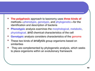 







The polyphasic approach to taxonomy uses three kinds of
methods—phenotypic, genotypic, and phylogenetic—for the
identification and description of bacteria
Phenotypic analysis examines the morphological, metabolic,
physiological, and chemical characteristics of the cell
Genotypic analysis considers characteristics of the genome
These two kinds of analysis group organisms based on
similarities
They are complemented by phylogenetic analysis, which seeks
to place organisms within an evolutionary framework

52

 