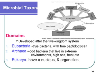 Microbial Taxonomy cont…

Domains
1.
2.

►Developed after the five-kingdom system
Eubacteria -true bacteria, with true peptidoglycan
Archaea –odd bacteria that live in extreme
environments, high salt, heat,etc

3.

Eukarya- have a nucleus, & organelles
53

 