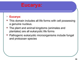 Eucarya:





Eucarya:
This domain includes all life forms with cell possessing
a genuine nucleus.
The plant and animal kingdoms (animales and
plantales) are all eukaryotic life forms
Pathogenic eukaryotic microorganisms include fungal
and protozoan species

58

 