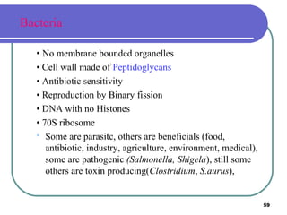 Bacteria
• No membrane bounded organelles
• Cell wall made of Peptidoglycans
• Antibiotic sensitivity
• Reproduction by Binary fission
• DNA with no Histones
• 70S ribosome
 Some are parasitc, others are beneficials (food,
antibiotic, industry, agriculture, environment, medical),
some are pathogenic (Salmonella, Shigela), still some
others are toxin producing(Clostridium, S.aurus),

59

 