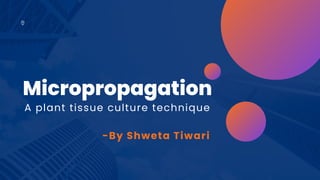 A plant tissue culture technique
Micropropagation
-By Shweta Tiwari
 