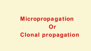 Micropropagation
Or
Clonal propagation
 