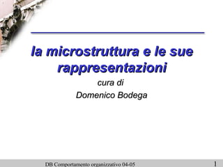 la microstruttura e le sue rappresentazioni cura di  Domenico Bodega 