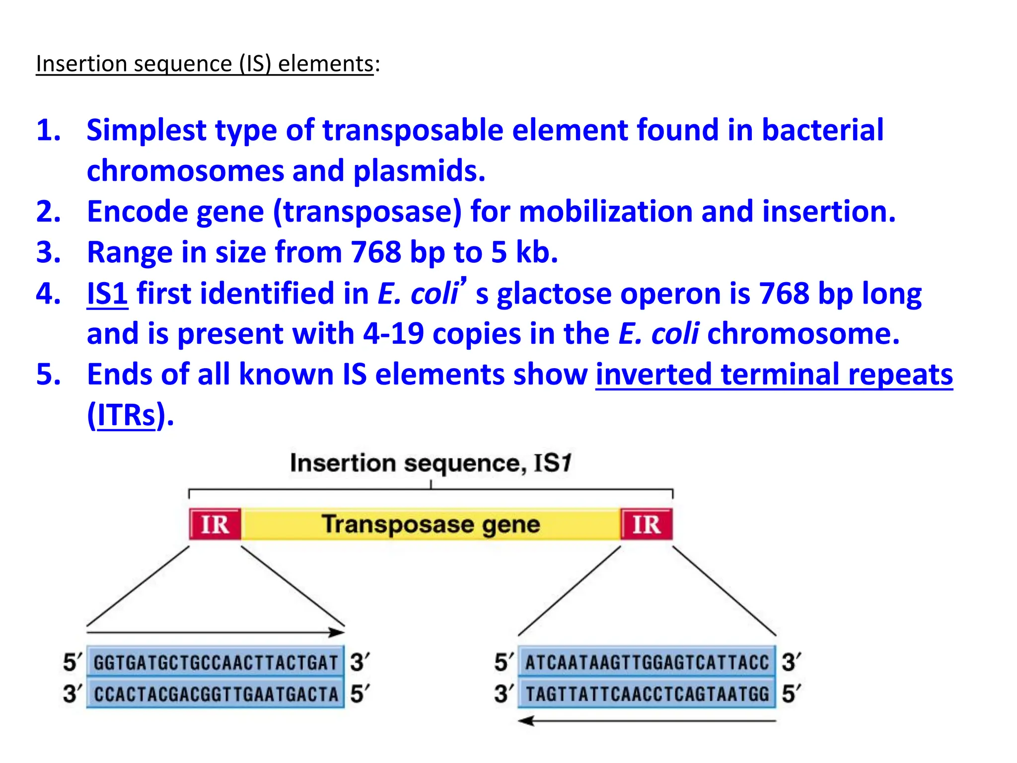 Insertion sequence (IS) elements:
1. Simplest type of transposable element found in bacterial
chromosomes and plasmids.
2. Encode gene (transposase) for mobilization and insertion.
3. Range in size from 768 bp to 5 kb.
4. IS1 first identified in E. coli’s glactose operon is 768 bp long
and is present with 4-19 copies in the E. coli chromosome.
5. Ends of all known IS elements show inverted terminal repeats
(ITRs).
 