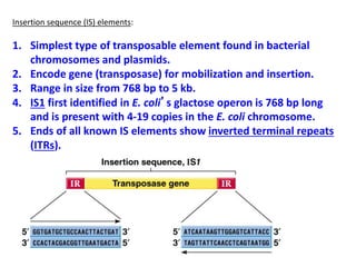 Insertion sequence (IS) elements:
1. Simplest type of transposable element found in bacterial
chromosomes and plasmids.
2. Encode gene (transposase) for mobilization and insertion.
3. Range in size from 768 bp to 5 kb.
4. IS1 first identified in E. coli’s glactose operon is 768 bp long
and is present with 4-19 copies in the E. coli chromosome.
5. Ends of all known IS elements show inverted terminal repeats
(ITRs).
 
