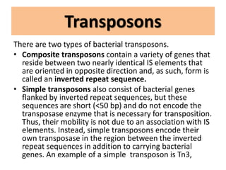 Transposons
There are two types of bacterial transposons.
• Composite transposons contain a variety of genes that
reside between two nearly identical IS elements that
are oriented in opposite direction and, as such, form is
called an inverted repeat sequence.
• Simple transposons also consist of bacterial genes
flanked by inverted repeat sequences, but these
sequences are short (<50 bp) and do not encode the
transposase enzyme that is necessary for transposition.
Thus, their mobility is not due to an association with IS
elements. Instead, simple transposons encode their
own transposase in the region between the inverted
repeat sequences in addition to carrying bacterial
genes. An example of a simple transposon is Tn3,
 