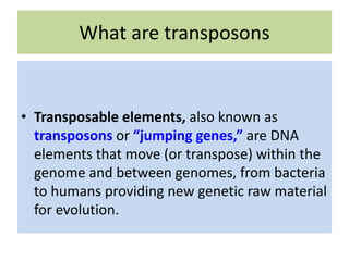 What are transposons
• Transposable elements, also known as
transposons or “jumping genes,” are DNA
elements that move (or transpose) within the
genome and between genomes, from bacteria
to humans providing new genetic raw material
for evolution.
 