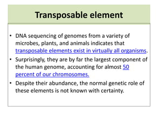 Transposable element
• DNA sequencing of genomes from a variety of
microbes, plants, and animals indicates that
transposable elements exist in virtually all organisms.
• Surprisingly, they are by far the largest component of
the human genome, accounting for almost 50
percent of our chromosomes.
• Despite their abundance, the normal genetic role of
these elements is not known with certainty.
 