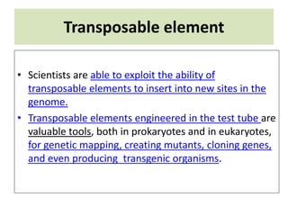 Transposable element
• Scientists are able to exploit the ability of
transposable elements to insert into new sites in the
genome.
• Transposable elements engineered in the test tube are
valuable tools, both in prokaryotes and in eukaryotes,
for genetic mapping, creating mutants, cloning genes,
and even producing transgenic organisms.
 