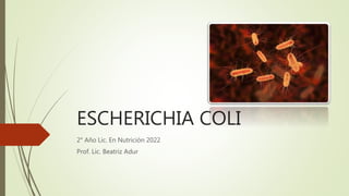 ESCHERICHIA COLI
2° Año Lic. En Nutrición 2022
Prof. Lic. Beatriz Adur
 