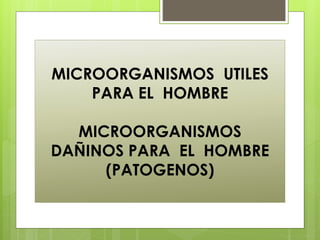 MICROORGANISMOS UTILES
PARA EL HOMBRE
MICROORGANISMOS
DAÑINOS PARA EL HOMBRE
(PATOGENOS)
 
