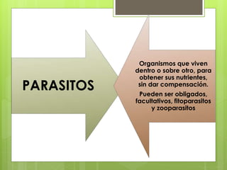 PARASITOS
Organismos que viven
dentro o sobre otro, para
obtener sus nutrientes,
sin dar compensación.
Pueden ser obligados,
facultativos, fitoparasitos
y zooparasitos
 