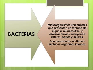 BACTERIAS
Microorganismos unicelulares
que presentan un tamaño de
algunos micrómetros y
diversas formas incluyendo
esferas, barras y hélices.
Son procariotas, no tienen
núcleo ni orgánulos internos.
 
