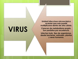 VIRUS
Unidad infecciosa microscópica
acelular que solo puede
multiplicarse dentro de otra célula.
Carecen de metabolismo propio.
Son parásitos por excelencia.
Infectan todo tipo de organismos,
desde bacterias, animales, plantas
y seres humanos.
 