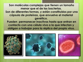 Son moléculas complejas que tienen un tamaño
menor que el de las bacterias.
Son de diferentes formas, y están constituidos por una
cápsula de proteínas, que envuelve el material
genético.
Pueden permanecer inactivos hasta que entran en
contacto con una célula viva a la que infectan y
obligan a trabajar para la réplica del propio virus.
 