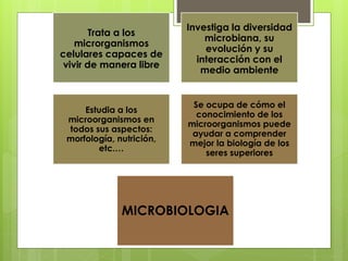 Trata a los
microrganismos
celulares capaces de
vivir de manera libre
Investiga la diversidad
microbiana, su
evolución y su
interacción con el
medio ambiente
Estudia a los
microorganismos en
todos sus aspectos:
morfología, nutrición,
etc.…
Se ocupa de cómo el
conocimiento de los
microorganismos puede
ayudar a comprender
mejor la biología de los
seres superiores
MICROBIOLOGIA
 