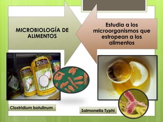 MICROBIOLOGÍA DE
ALIMENTOS
Estudia a los
microorganismos que
estropean a los
alimentos
Salmonella Typhi
Clostridium botulinum
 