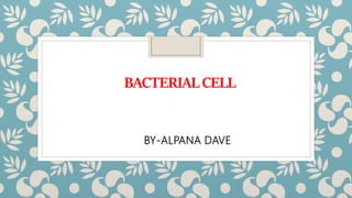 BACTERIAL CELL
BY-ALPANA DAVE
 