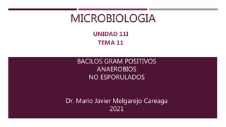 MICROBIOLOGIA
UNIDAD 11I
TEMA 11
BACILOS GRAM POSITIVOS
ANAEROBIOS
NO ESPORULADOS
Dr. Mario Javier Melgarejo Careaga
2021
 