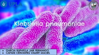Klebsiella pneumoniae
● GARCIA RUPAYLLA JAIR FERNANDO
● CAPANI CERVANTES VALERY MACIEL
 