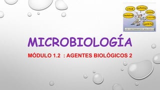 MICROBIOLOGÍA
MÓDULO 1.2 : AGENTES BIOLÓGICOS 2
 