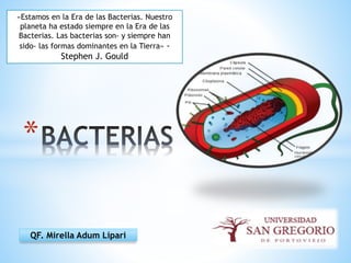 *
QF. Mirella Adum Lípari
«Estamos en la Era de las Bacterias. Nuestro
planeta ha estado siempre en la Era de las
Bacterias. Las bacterias son- y siempre han
sido- las formas dominantes en la Tierra» -
Stephen J. Gould
 