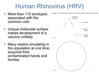 Microbiology and Parasitology Lecture.pptx