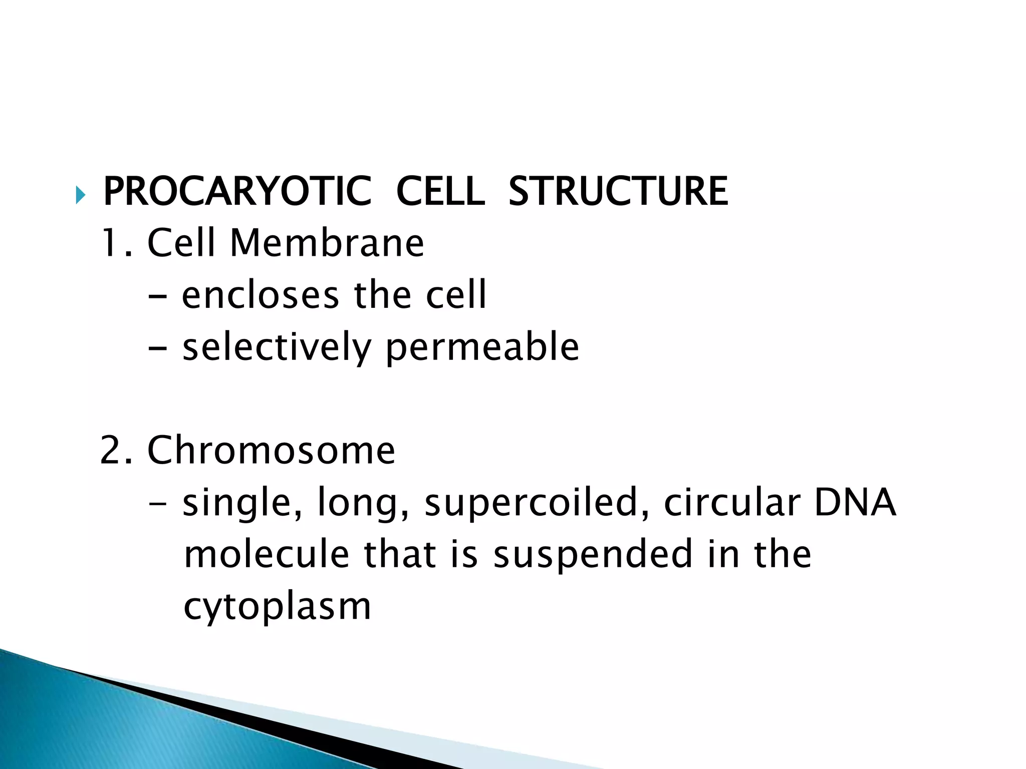 PROCARYOTIC  CELL  STRUCTURE1. Cell Membrane      - encloses the cell      - selectively permeable2. Chromosome- single, long, supercoiled, circular DNA molecule that is suspended in the cytoplasm