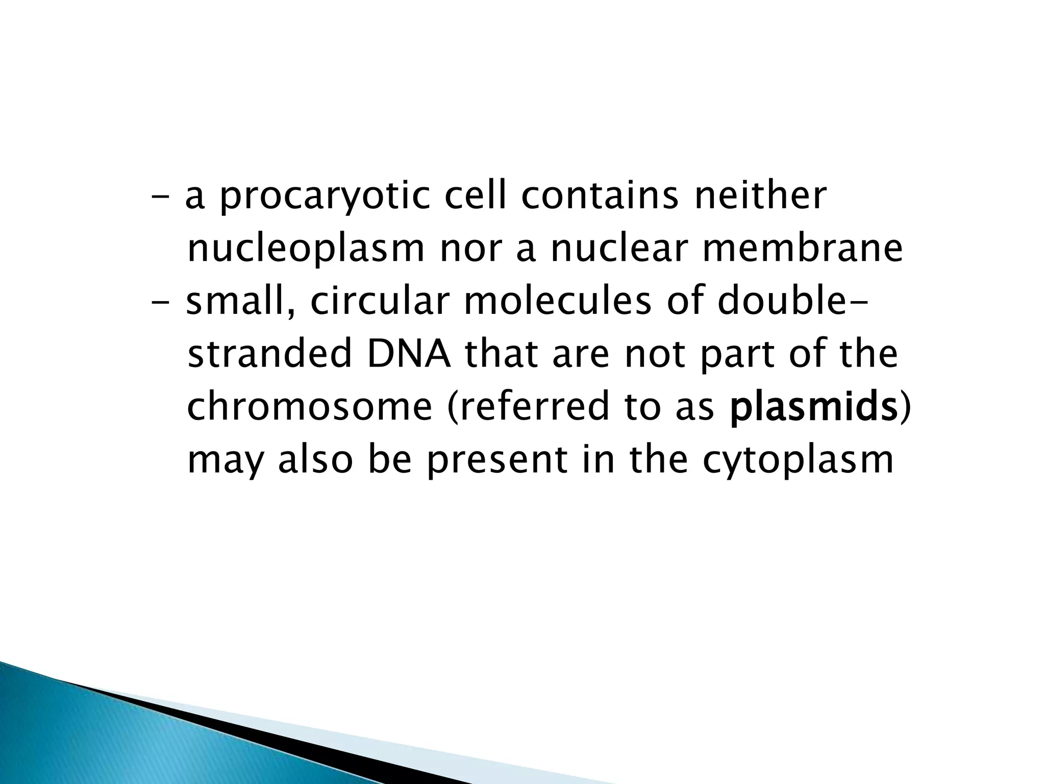       - a procaryotic cell contains neithernucleoplasm nor a nuclear membrane      - small, circular molecules of double-         stranded DNA that are not part of the         chromosome (referred to as plasmids)         may also be present in the cytoplasm