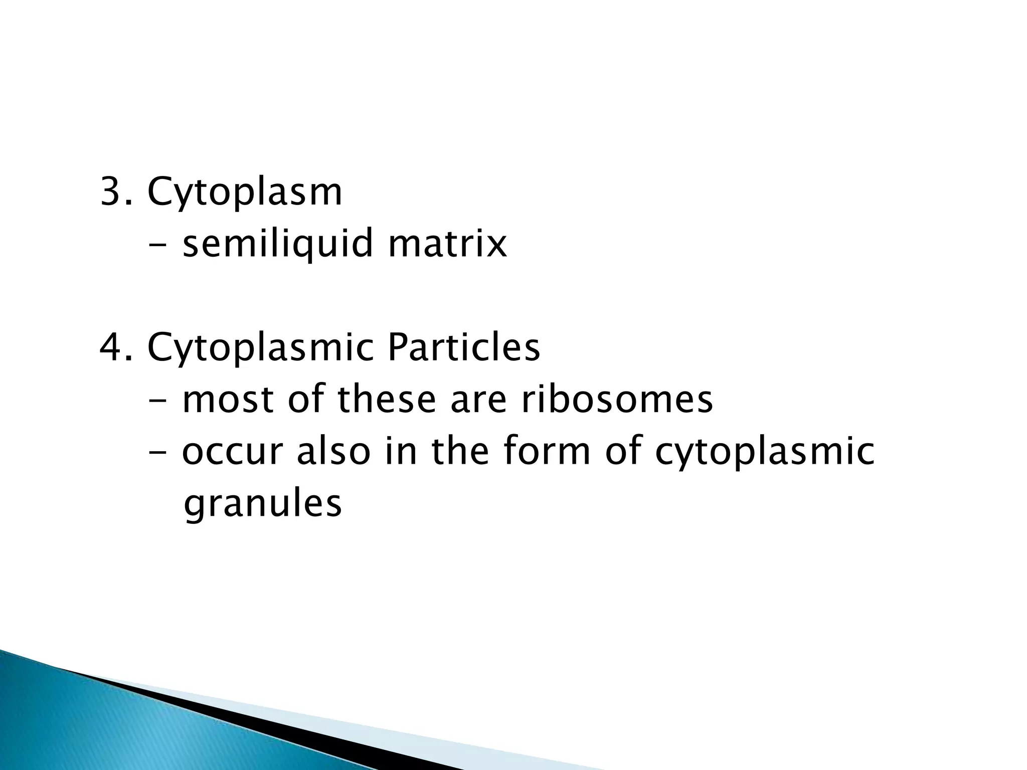   3. Cytoplasm      - semiliquid matrix  4. Cytoplasmic Particles      - most of these are ribosomes      - occur also in the form of cytoplasmic         granules