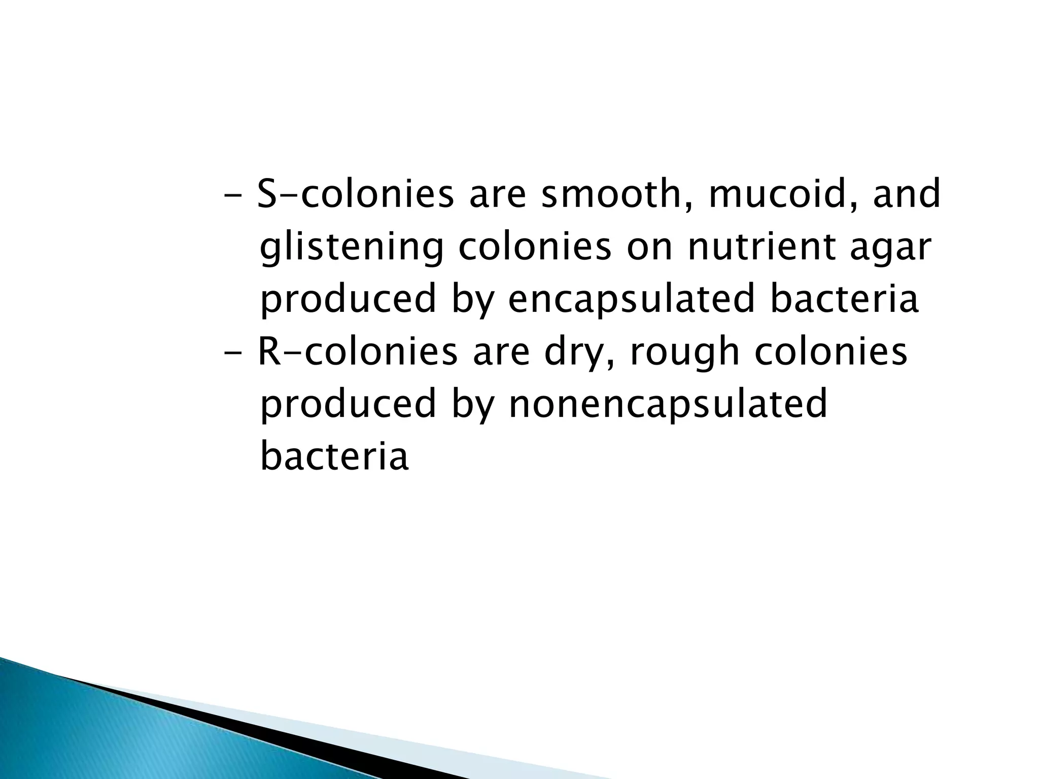             - S-colonies are smooth, mucoid, and               glistening colonies on nutrient agar               produced by encapsulated bacteria            - R-colonies are dry, rough colonies               produced by nonencapsulated               bacteria