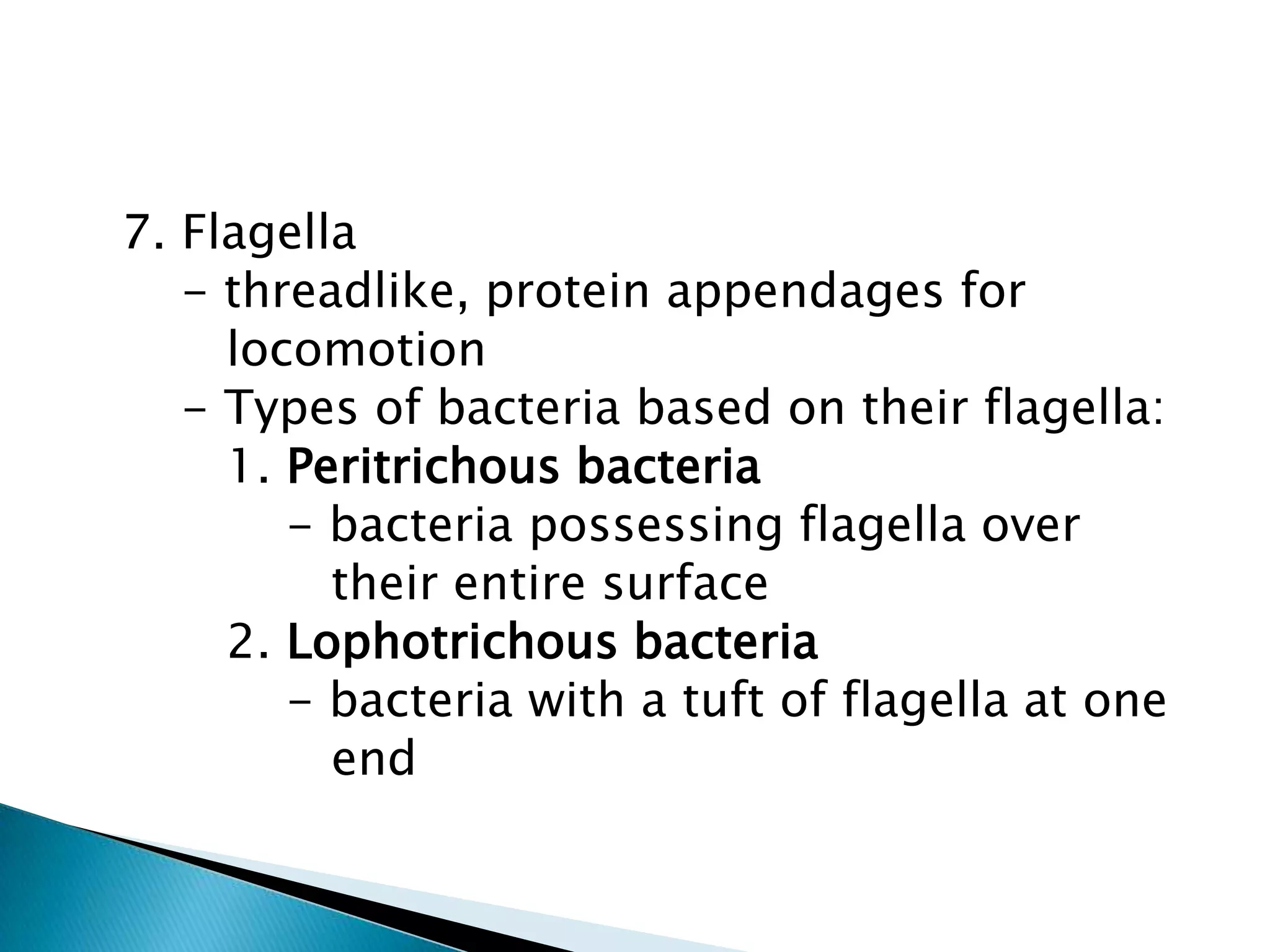   7. Flagella      - threadlike, protein appendages for         locomotion      - Types of bacteria based on their flagella:         1. Peritrichous bacteria             - bacteria possessing flagella over                 their entire surface         2. Lophotrichous bacteria             - bacteria with a tuft of flagella at one                end