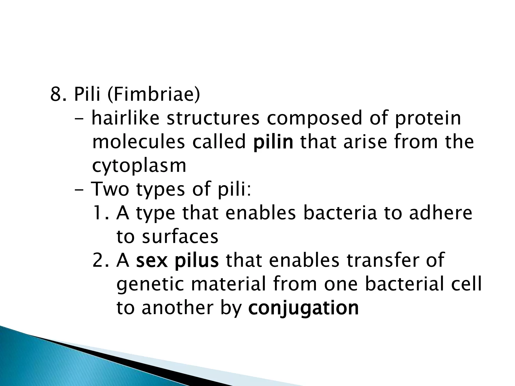   8. Pili (Fimbriae)      - hairlike structures composed of protein         molecules called pilin that arise from the         cytoplasm      - Two types of pili:         1. A type that enables bacteria to adhere             to surfaces         2. A sex pilusthat enables transfer of             genetic material from one bacterial cell             to another by conjugation