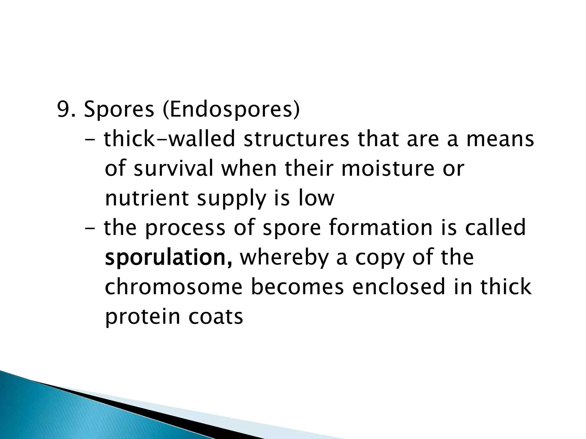   9. Spores (Endospores)      - thick-walled structures that are a means         of survival when their moisture or         nutrient supply is low      - the process of spore formation is calledsporulation, whereby a copy of the chromosome becomes enclosed in thickprotein coats