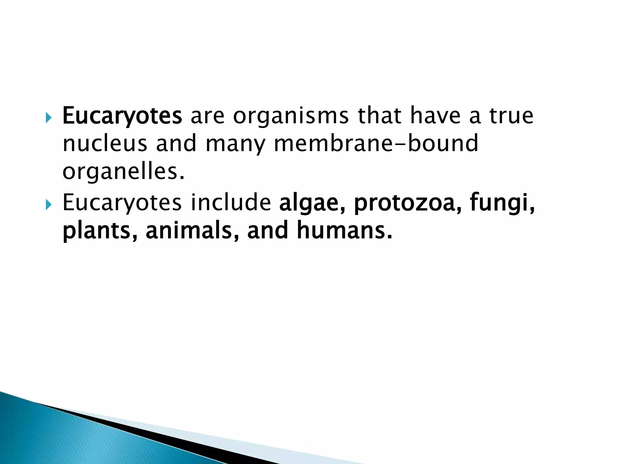 Eucaryotes are organisms that have a true nucleus and many membrane-bound organelles.Eucaryotes include algae, protozoa, fungi, plants, animals, and humans.