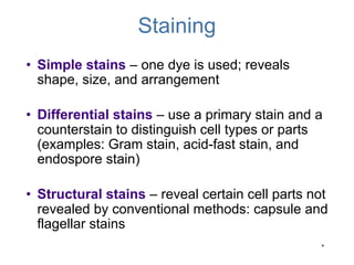 Structural Stain Examples General information of microbiology.ppt.pdf