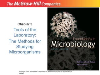 Micro 3 New.ppt.pdf tools of the laboratory | PDF