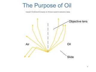 Micro 3 New.ppt.pdf tools of the laboratory | PDF