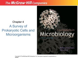 Micro 4 New.ppt.pdf thesis main microbio | PDF
