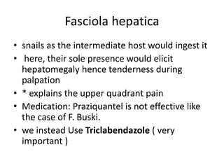 Fasciola hepatica
• snails as the intermediate host would ingest it
• here, their sole presence would elicit
hepatomegaly hence tenderness during
palpation
• * explains the upper quadrant pain
• Medication: Praziquantel is not effective like
the case of F. Buski.
• we instead Use Triclabendazole ( very
important )
 