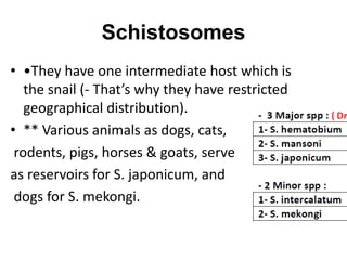 Schistosomes
• •They have one intermediate host which is
the snail (- That’s why they have restricted
geographical distribution).
• ** Various animals as dogs, cats,
rodents, pigs, horses & goats, serve
as reservoirs for S. japonicum, and
dogs for S. mekongi.
 