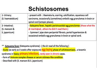 Schistosomes
 