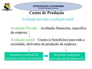 INTRODUÇÃO À ECONOMIAINTRODUÇÃO À ECONOMIA
Prof. MSc. Elói Martins SenhorasProf. MSc. Elói Martins Senhoras
Custos de Produção
Avaliação privada e avaliação social
Avaliação Privada – Avaliação financeira, específica
da empresa.
Avaliação social – Custos (e benefícios) para toda a
sociedade, derivados da produção da empresa.
Aumenta a produção da
indústria extrativa de madeira
Há perdas ecológicas
derivadas do desmatamento
 