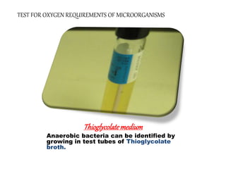 Thioglycolatemedium
Anaerobic bacteria can be identified by
growing in test tubes of Thioglycolate
broth.
TEST FOR OXYGEN REQUIREMENTS OF MICROORGANISMS
 